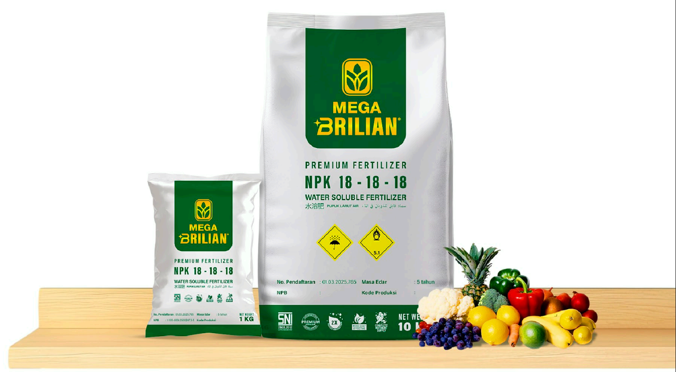 Produk Mega Brilian 10kg + Sayuran & Buah (Meja kayu)