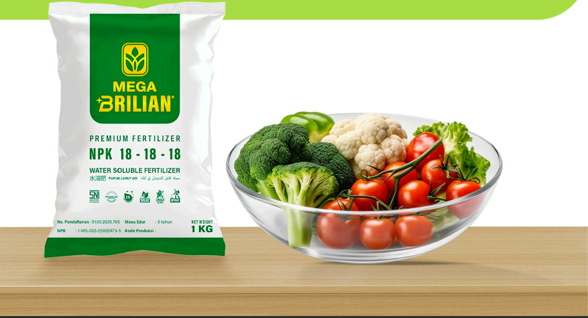 Produk Mega Brilian 1kg + Mangkuk Sayuran (Meja kayu)